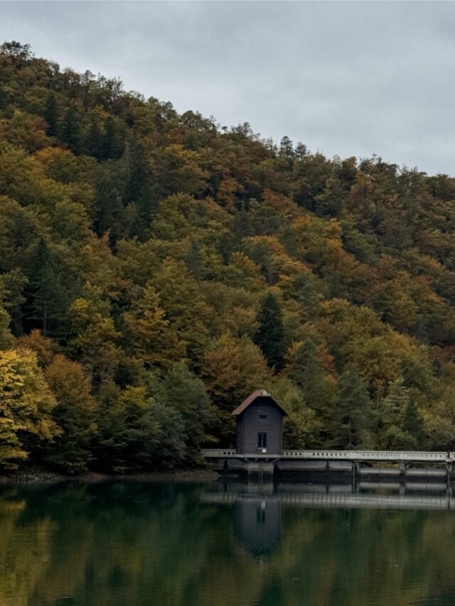 spomladanska čistka se seli tudi na moj telefon, več kot 5000 fotk sem že izbrisala in tole je najbolj random photo dump ever 🎞️ 

#camerarolldump #simpledays #countrysideliving